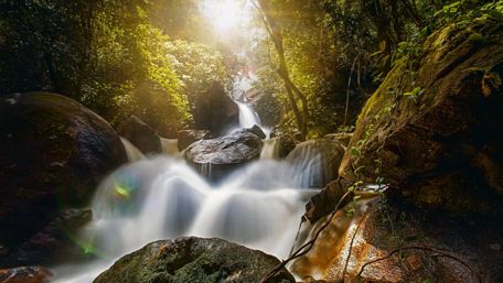 Waterfall Bridal Veil, Pernambuco, Brazil wallpaper