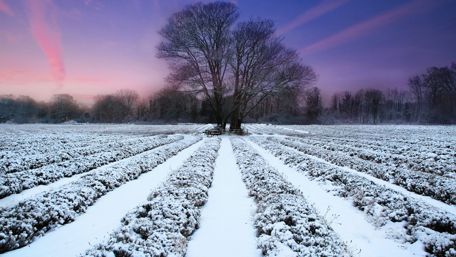 Winter landscape wallpaper