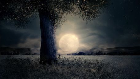 Full moon on the horizon ⭐️ wallpaper