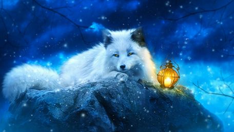White fox art wallpaper