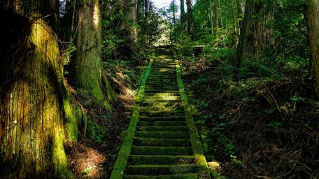 Kamishikimikumanoza forest shrine - Japan wallpaper