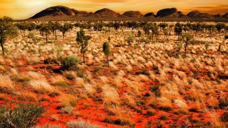 Uluru-Kata Tjuta National Park and The Olgas wallpaper