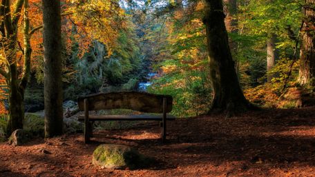 Cairngorms National Park, Scotland wallpaper