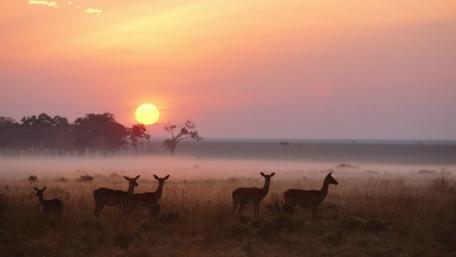 Sunrise over Maasai Mara National Reserve, Kenya wallpaper