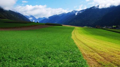 Vibrant Highland Meadow and Mountain View wallpaper