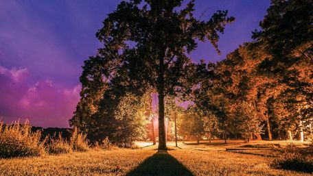 Tranquil Evening Glow in Nature wallpaper