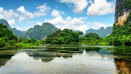 Cuc Phuong National Park - Ninh Bình, Vietnam wallpaper
