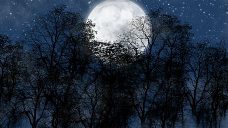 Full moon on the starry sky wallpaper