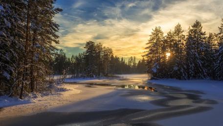 Frosted river in the snowy forest wallpaper