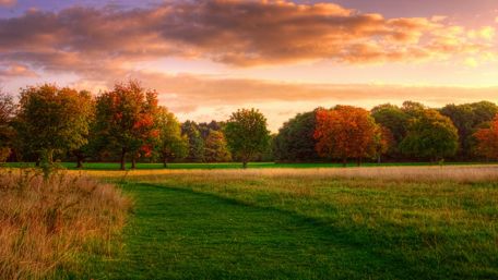 Autumn Serenity in Rural Landscapes wallpaper