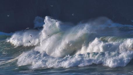 Seagulls over the huge ocean wave wallpaper