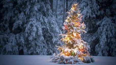 Christmas treein the snow wallpaper