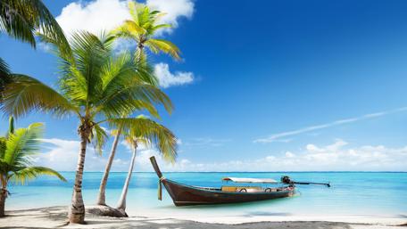 White sandy beach with palms wallpaper