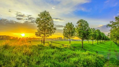 Sunrise over the grassland wallpaper