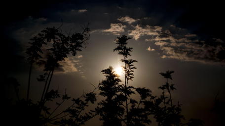 Sunrise sky photograpy wallpaper