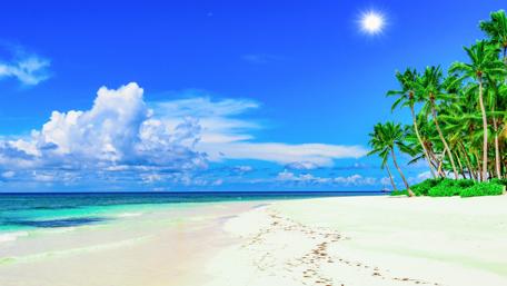 Sunny beach wallpaper
