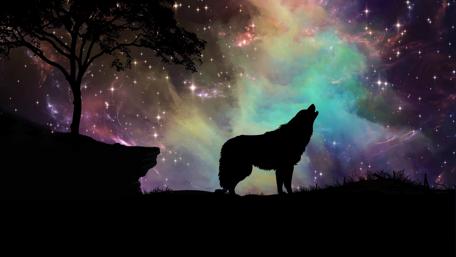 Wolf howling - Fantasy art wallpaper
