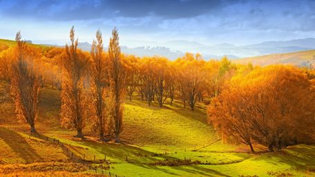 Burnt orange beauty of autumn - Arrowtown, New Zealand wallpaper