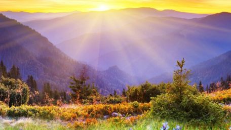 Morning sunlight in the mountains☀️ wallpaper