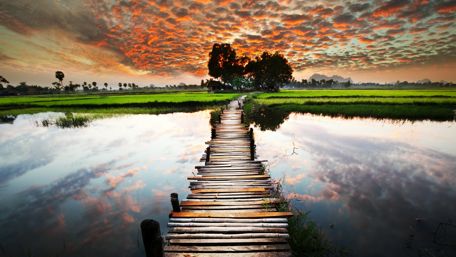 Long boardwalk over the lake wallpaper