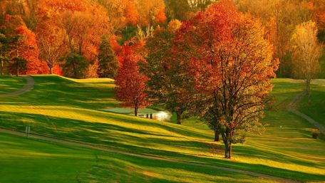 Beatutiful autumn park in Richmond wallpaper