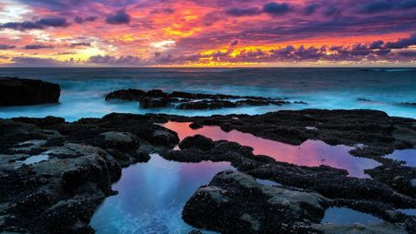 Cape Arago State Park sunset wallpaper
