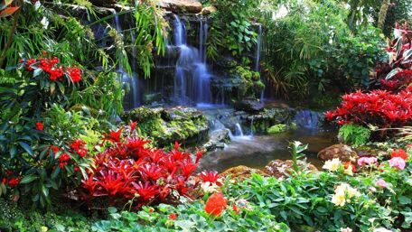 Vibrant Garden Waterfall Serenity wallpaper