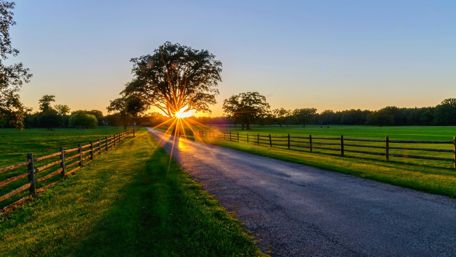 Road to the sunrise wallpaper