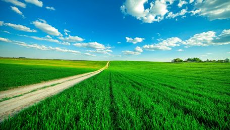 Blue sky with fluffy clouds above the endless dirt road wallpaper