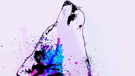 Husky Howl in Vibrant Watercolor Splashes wallpaper