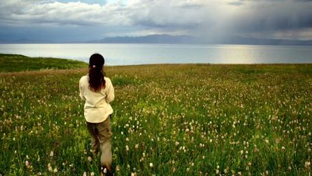 Wildflower field at Sayram Lake, China wallpaper