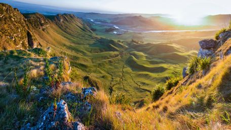 Grassy hills in the sunlight wallpaper