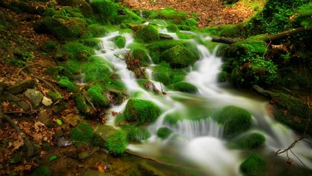 Mossy stones along the stream cascade wallpaper