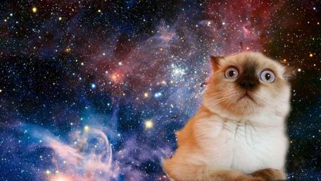 Cat in the space ✨ wallpaper