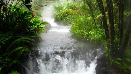 Serene Rainforest Waterfall Escape wallpaper