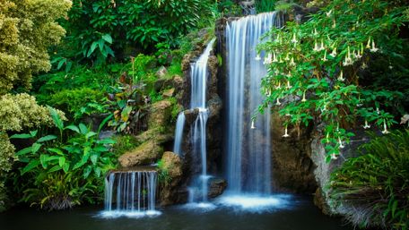 Los Angeles Arboretum and Botanical Gardens wallpaper