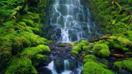 Sensoria Land of Senses - Costa Rica, Mexico wallpaper