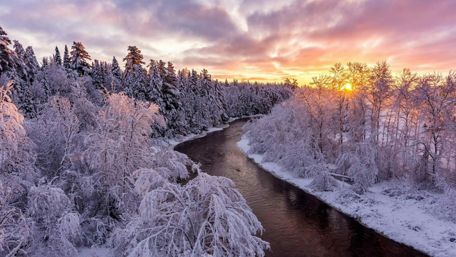 Frosty riverside forest wallpaper