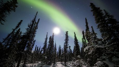 Aurora Borealis above Denali National Park - Alaska wallpaper