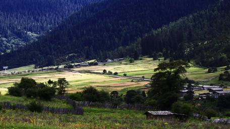 Tibetan Plateau scene - Lu Lang Zhen (Lulang Town) wallpaper