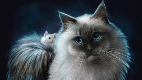 Cat and mouse illustration wallpaper