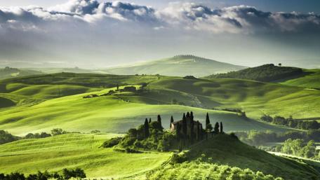Lush Tuscan Hills in Morning Light wallpaper