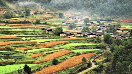 Lower Niru village - Shangrila, Yunnan, China wallpaper