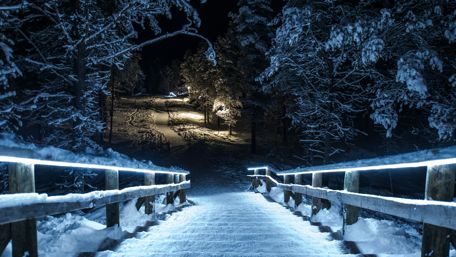 Snowy stairs in the winter park wallpaper