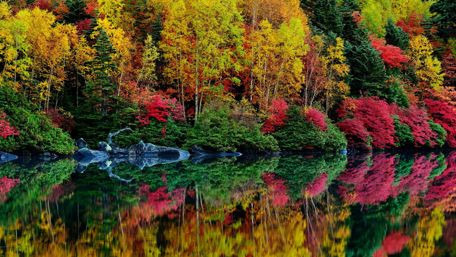 Colorful autumn reflection wallpaper