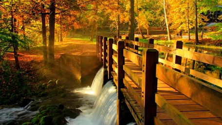Wood bridge over the stream at fall wallpaper