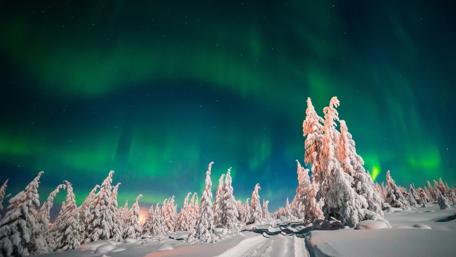 Green northern lights wallpaper