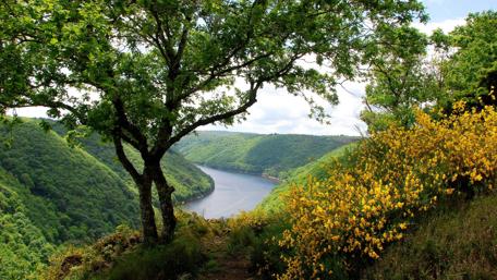 River in the valley wallpaper