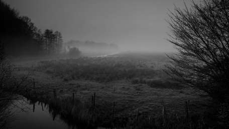 Morning fog wallpaper