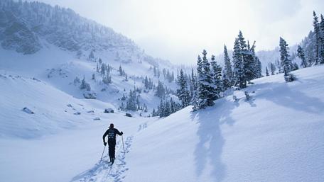 Cross-country skiing wallpaper